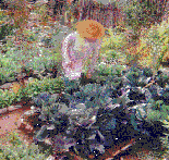 How to Grow Your Own Organic Vegetables for Frugal Living and Sustainability